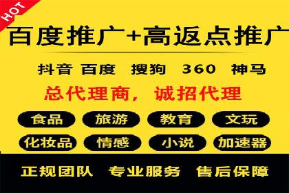 行业标杆：SEM推广代运营成功案例